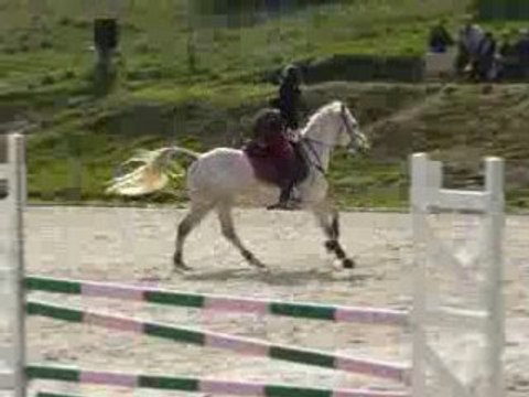 PARCOURS CSO D2P MARION ET GIBOULE