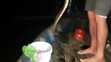 River Life & Fishing