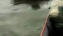 Life on the River