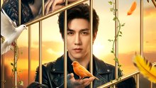 Captive’S Kiss Sends Secrets - Drama