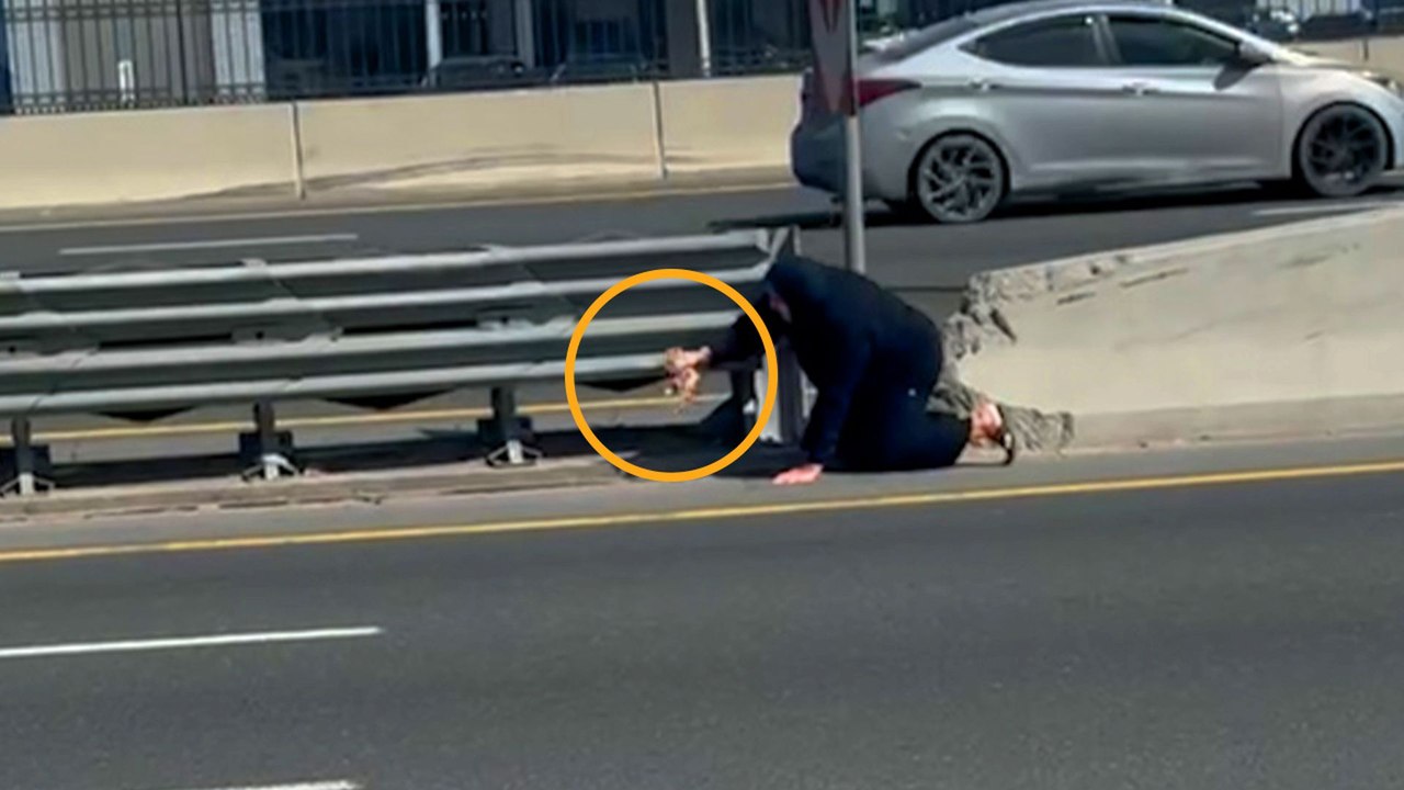 Woman Crosses Highway Traffic To Rescue Tiny Kitten
