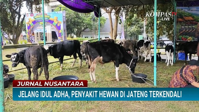 [FULL] Pemprov Jateng Perketat Pengawasan Penyakit Mulut dan Kuku Hewan Kurban