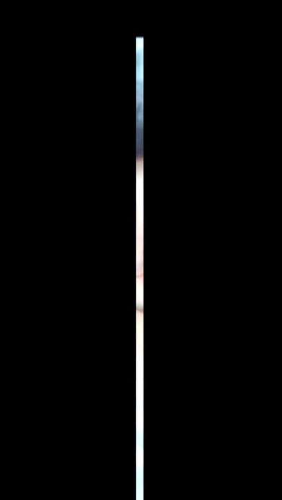 1000032041