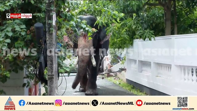 അക്രമാസക്തമായി ആന, എലഫെന്റ് സ്‌ക്വാഡ് സ്ഥലത്ത് എത്തി