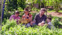 Grand Designs Australia Season 12 Episode 9 Engsub