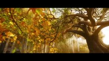 LE SEIGNEUR DES ANNEAUX: Les Anneaux de pouvoir (2024-) Bande Annonce VF (Saison 2)- HD [Full Movie]