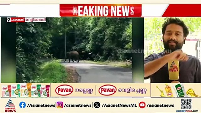 തൊട്ട് മുന്നിൽ കുട്ടികൊമ്പൻ, തലനാരിഴയ്ക് രക്ഷപ്പെടൽ... കാട്ടാനയുടെ മുന്നിൽ അകപ്പെട്ട് അധ്യാപകൻ
