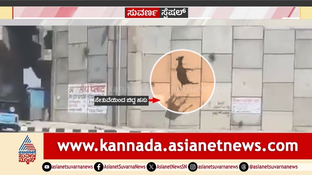 ಫ್ಲೈಓವರ್​ ಮೇಲಿಂದ ರಸ್ತೆಗೆ ಜಾರಿ ಬಿದ್ದ ಹಸು..! ರಸ್ತೆಗೆ ಬಿದ್ದು ಸ್ಥಳದಲ್ಲೇ ಪ್ರಾಣ ಬಿಟ್ಟ ಜಾನುವಾರು..!