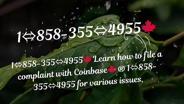 121//\\~【Verified】⋉अ[FULLGUIDE] Coinbase® WALLET© SuppORT℗ Phone Number