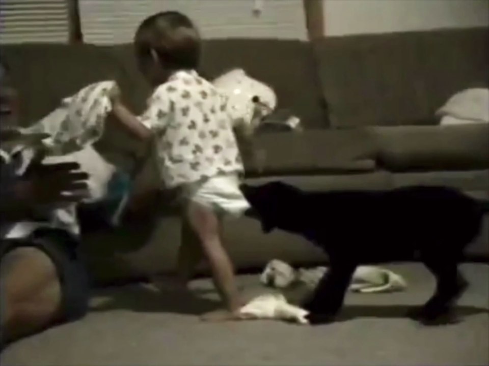 Kanine Versus Infant