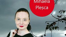 Mihaela Pleșca' Neurodesign Company in the Business Environment