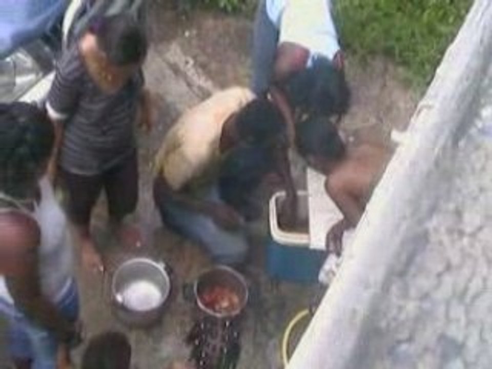 Tuons les crabes en famille