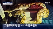 [사건을 보다]버스 짐칸에 대형 뱀?