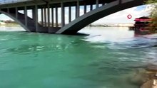 Fırat Nehri'nden efsanevi Van Gölü canavarına rakip çıktı!