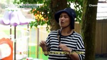 타이야족이라면 대패첨산을 모르면 안된다!? 타이야족의 근원! '대패첨산'