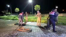 Van'da kaçak avlanan 1,5 ton inci kefali suya geri bırakıldı