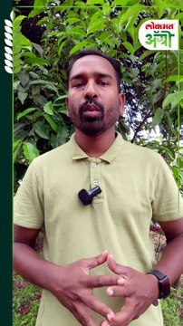 भाडेपट्ट्यावर शेत कसणाऱ्यांना आता पीक कर्ज, विमा मिळणार | Agriculture