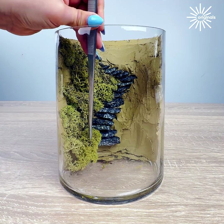 Creating a mini forest inside a glass jar! 🌳🌱