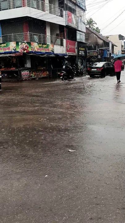 പ്രകൃതിയുടെ ശാന്തത… മഴക്കാലത്തിന്റെ
