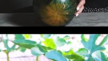 Fresh and juicy watermelon cutting video 🍉😍