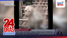 Litrato ng dating viral dog na si Tiktok, ginagamit sa online scam | 24 Oras Weekend