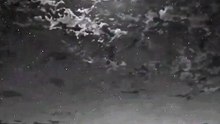 Reels video  #reels #video #viral #motivational #short