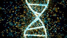 Senolytics - Can they extend your lifespan?