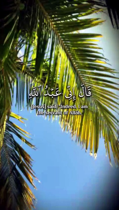 ﴿ ذَٰلِكَ عِيسَى ابْنُ مَرْيَمَ قَوْلَ الْحَقِّ...