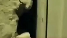Autoridades de Zacatecas investigan un presunto caso de maltr@to infant1l luego de rescatar a un m3nor que permanecía encerrado en una bodega 🚔⚠️