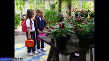 Assistir Os Mutantes Capitulo 6 Completo Primeira Temporada Caminhos Do Coração