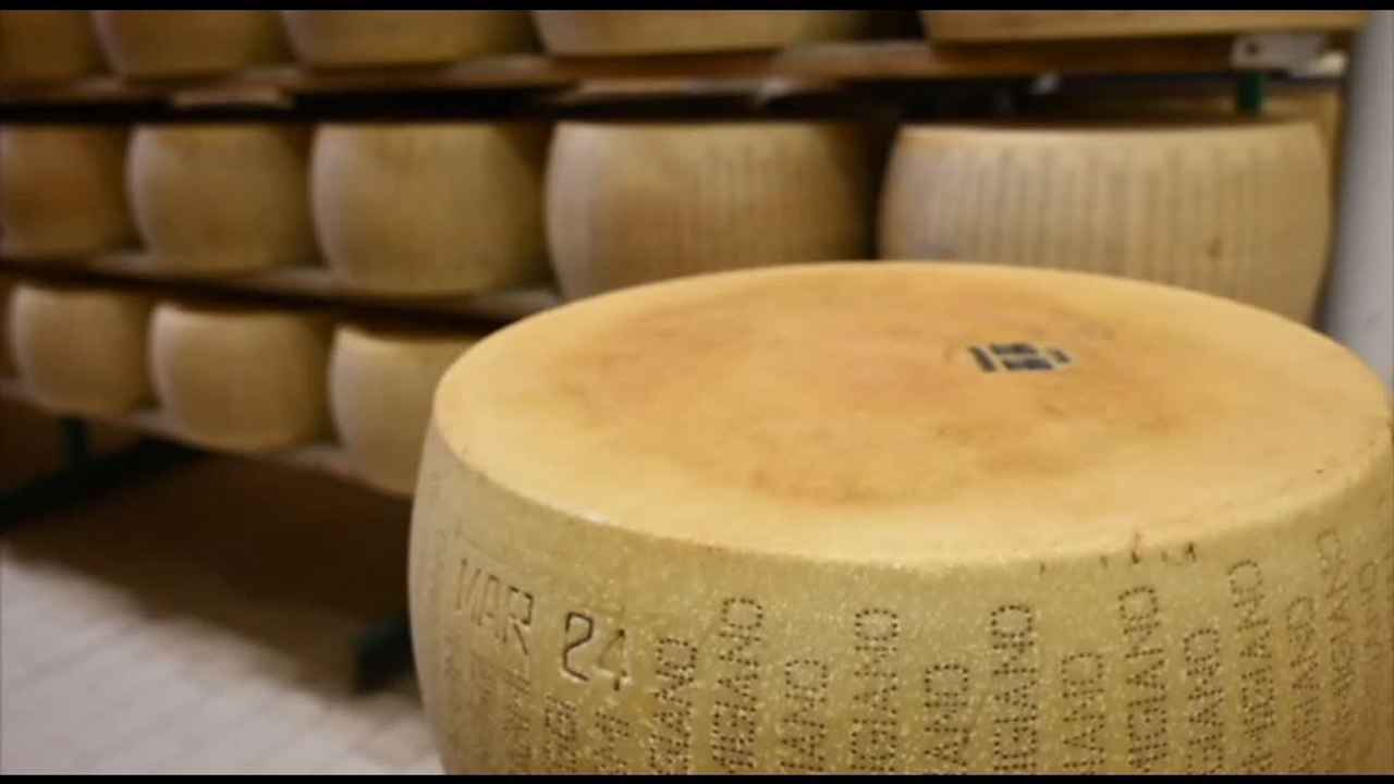 Caseifici Aperti, il Parmigiano accoglie il pubblico