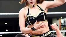 WWE women fight #10