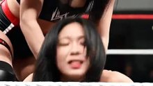 WWE women fight #11