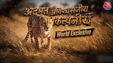 7 दशकों बाद कैसे चीता की भारत में वापसी हुई? अद्भुत अविश्‍वसनीय अकल्‍पनीय में देखिए पूरी कहानी