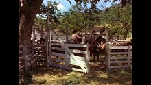Cartas Marcadas | O jogo revelou um assassino | Filmes de Faroeste | Western dublado