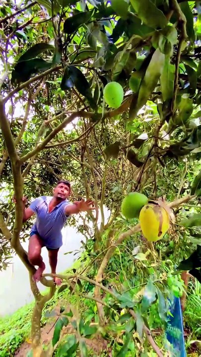 😂😅🤣😂😅🤣 ‌If you liked the video, don’t forget to like, comment, and follow🙏
