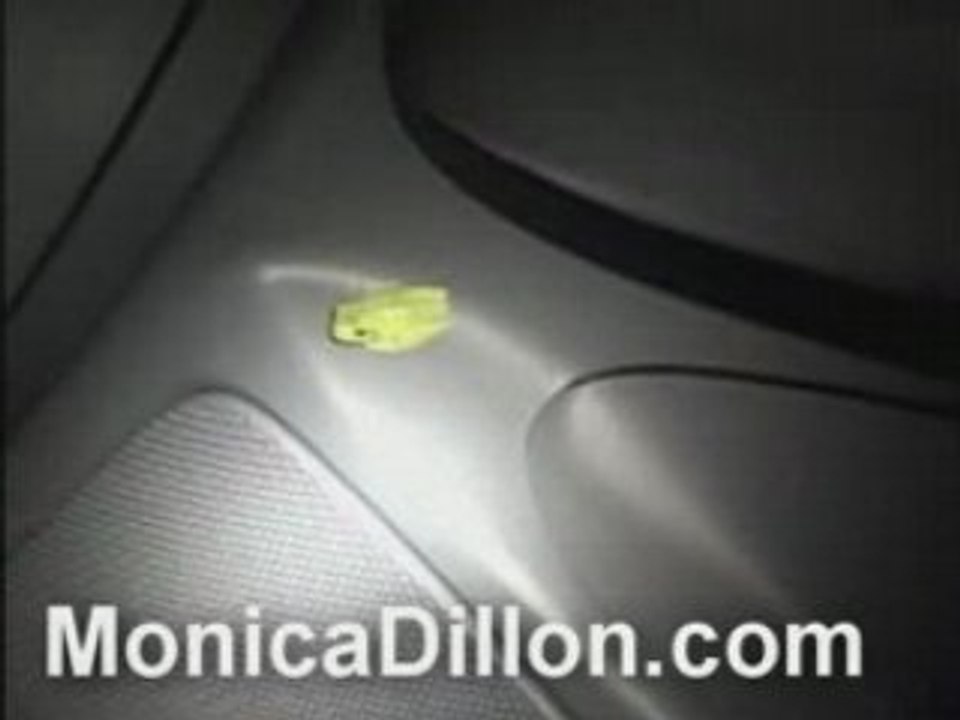 Monica Dillon's Pet Frog