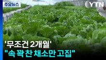 '무조건 2개월'...속이 꽉 찬 샐러드 채소만 배달합니다 / YTN