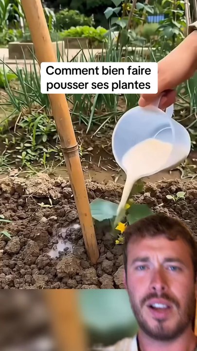 Incroyable !