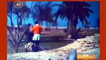 فرقة طرابلس للفنون الشعبية و باقة من رقصاتها الليبية