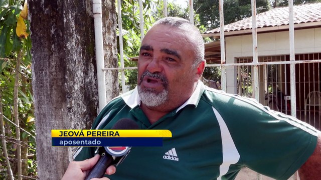 Acidentes Fatais por Animais Soltos na Estrada PE14: Problemática Persistente em Pirajuí