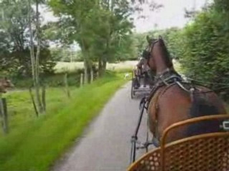 Randonnée attelage