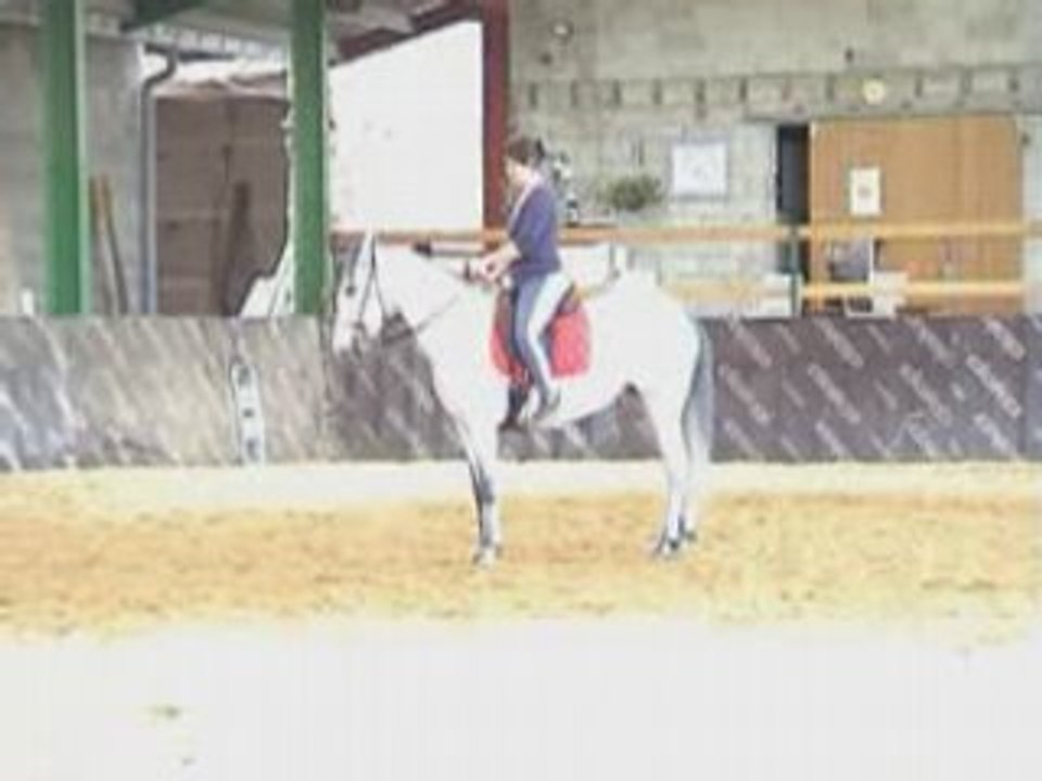 PADY 06-08