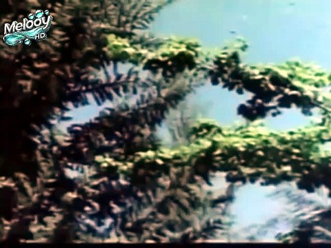 فيلم الشطار بطولة نادية الجندي وكمال الشناوي وفاروق الفيشاوي [x9srbxw]