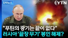 [자막뉴스] "대량 살상 계획"...러시아가 준비 중이라는 무기 / YTN