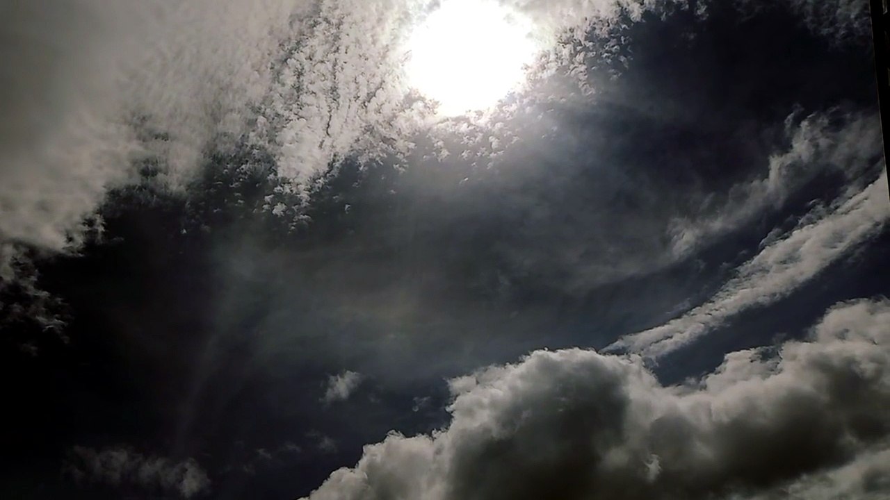 video_20260523_141924