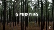 ▶ᴏ ғᴜɢɪᴛɪᴠᴏ: 2ª ᴛᴇᴍᴘᴏʀᴀᴅᴀ⭑ᴇᴘɪsᴏ́ᴅɪᴏ 06⁰ - ᴄᴀʀᴏʟɪɴᴀ ᴅᴏ sᴜʟ