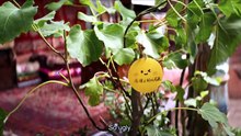 Bloom Life Episode 6 English Subtitles S01E06