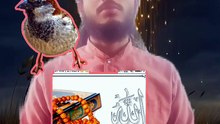 چڑیا کو چاول ڈالنے کا وظیفہ | رزق اور برکت کا بہترین عمل 🕊️🌾#Wazifa #IslamicVideo #Chidiya #Rizq #Barkat