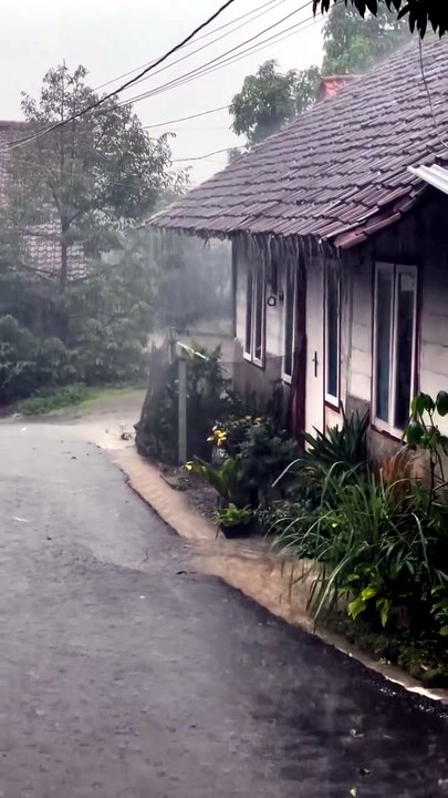 rainy day status l beautiful rain falling #rain #rainyday #rainfall